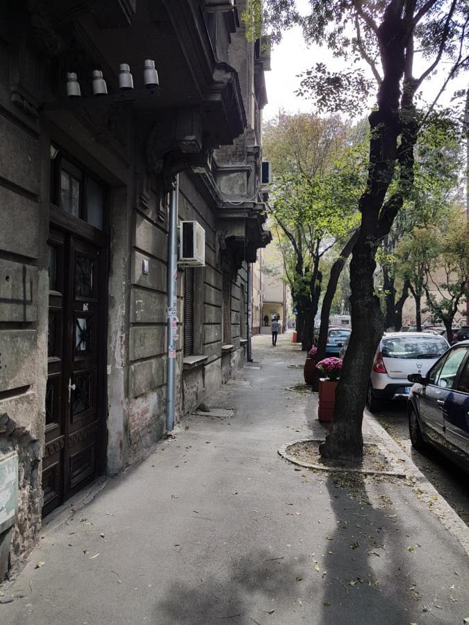 Classic Style Apartment Belgrade Exterior photo